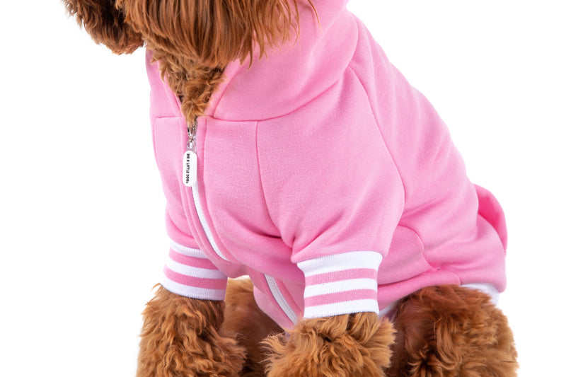 HOODIE DOG JUMPER: Pink with Easter Bunny Embroidery