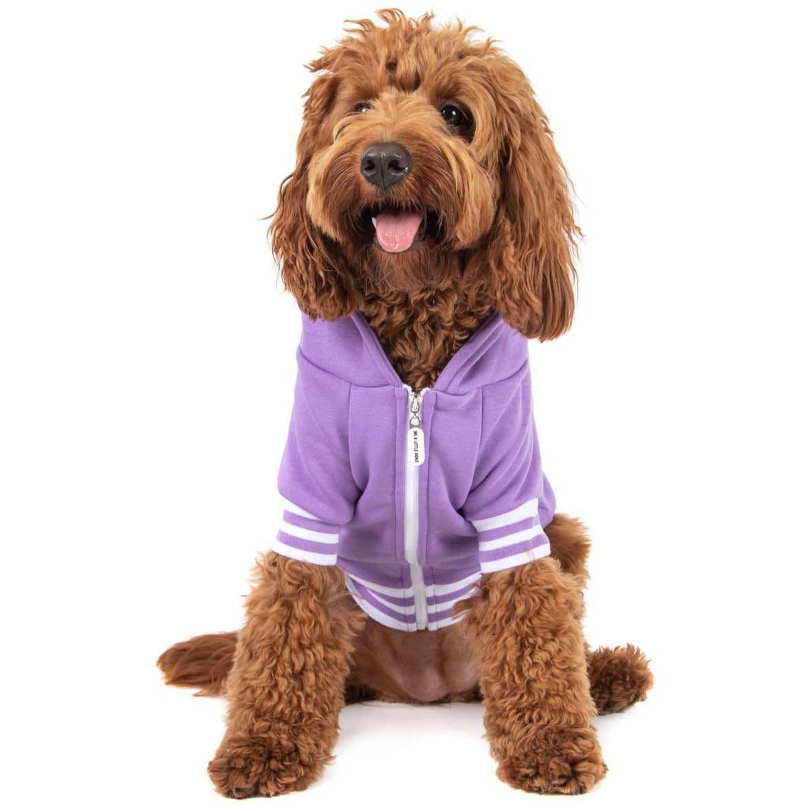 HOODIE DOG JUMPER: Purple {FINAL SALE}