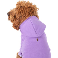 HOODIE DOG JUMPER: Purple {FINAL SALE}