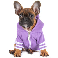 HOODIE DOG JUMPER: Purple {FINAL SALE}