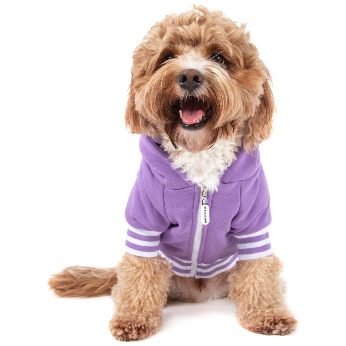 HOODIE DOG JUMPER: Purple {FINAL SALE}