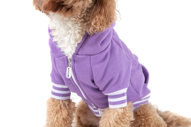 HOODIE DOG JUMPER: Purple with Easter Bunny Embroidery