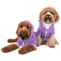 HOODIE DOG JUMPER: Purple {FINAL SALE}