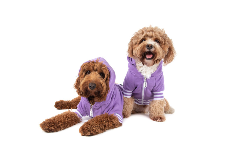 HOODIE DOG JUMPER: Purple with Easter Bunny Embroidery