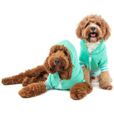 HOODIE DOG JUMPER: Teal {FINAL SALE}