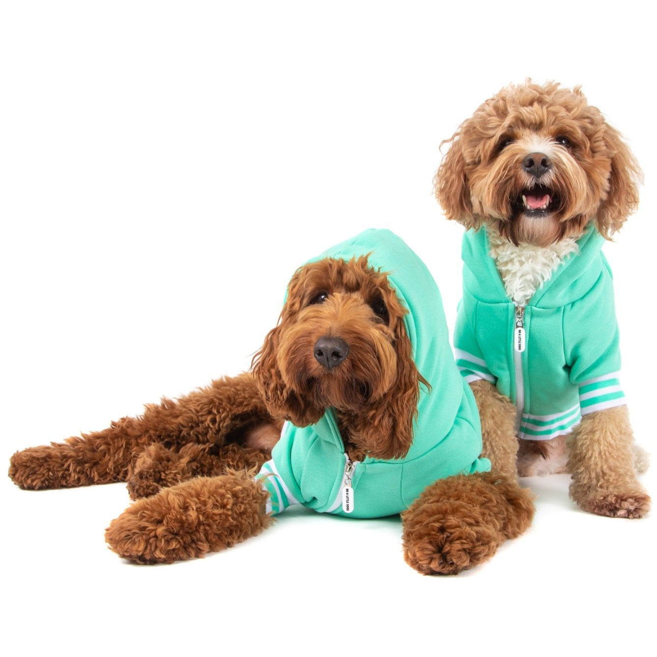 HOODIE DOG JUMPER: Teal {FINAL SALE}