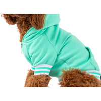 HOODIE DOG JUMPER: Teal {FINAL SALE}