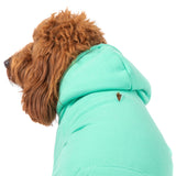 HOODIE DOG JUMPER: Teal {FINAL SALE}