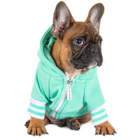 HOODIE DOG JUMPER: Teal {FINAL SALE}