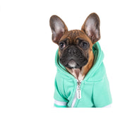 HOODIE DOG JUMPER: Teal {FINAL SALE}