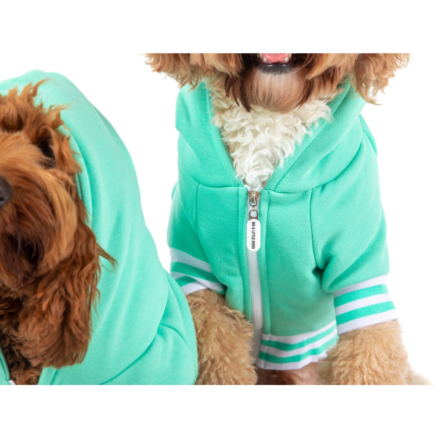 HOODIE DOG JUMPER: Teal {FINAL SALE}