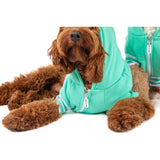 HOODIE DOG JUMPER: Teal {FINAL SALE}