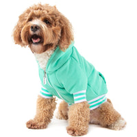 HOODIE DOG JUMPER: Teal {FINAL SALE}