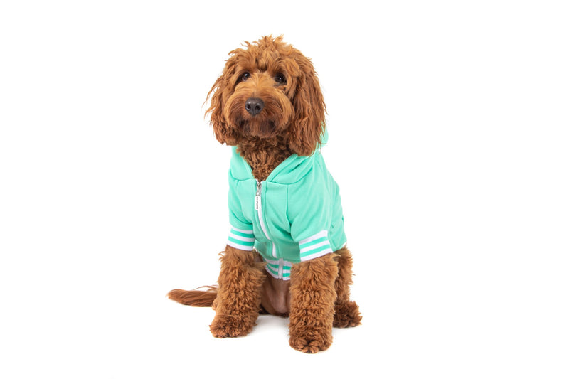 HOODIE DOG JUMPER: Teal with Easter Bunny Embroidery