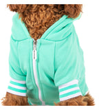 HOODIE DOG JUMPER: Teal {FINAL SALE}