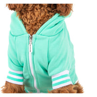 HOODIE DOG JUMPER: Teal {FINAL SALE}