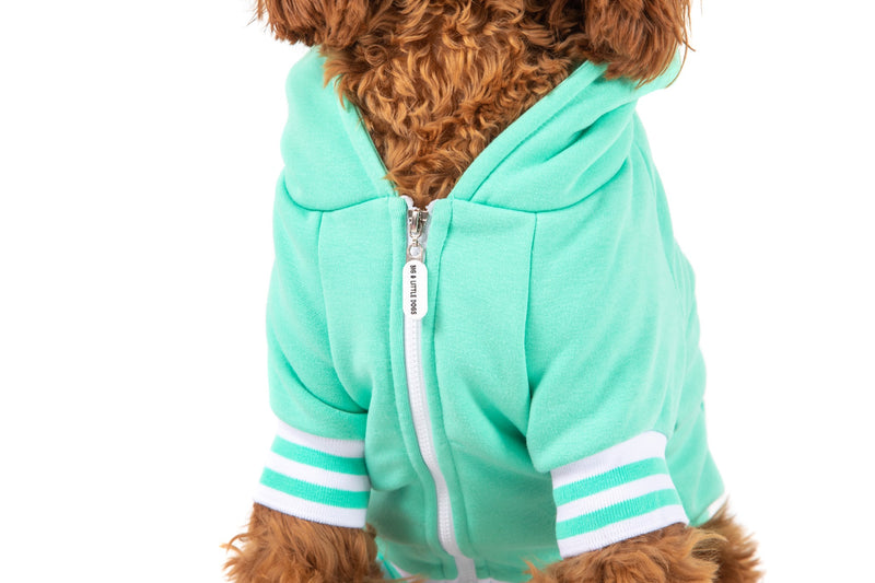 HOODIE DOG JUMPER: Teal with Easter Bunny Embroidery
