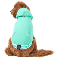 HOODIE DOG JUMPER: Teal {FINAL SALE}