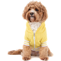 HOODIE DOG JUMPER: Lemon {FINAL SALE}