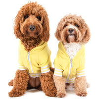 HOODIE DOG JUMPER: Lemon {FINAL SALE}