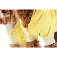 HOODIE DOG JUMPER: Lemon {FINAL SALE}