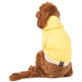 HOODIE DOG JUMPER: Lemon {FINAL SALE}