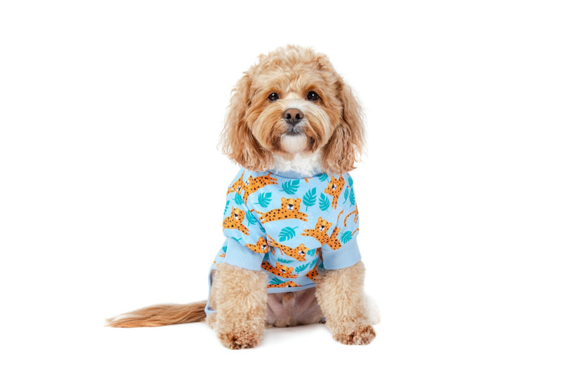 Dog Onesie Pyjamas Go Get Em Tiger