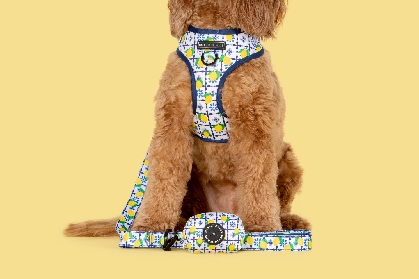 Dog Poop Bag Holder Amalfi Coast Lemons Italy Yellow Blue Tiles