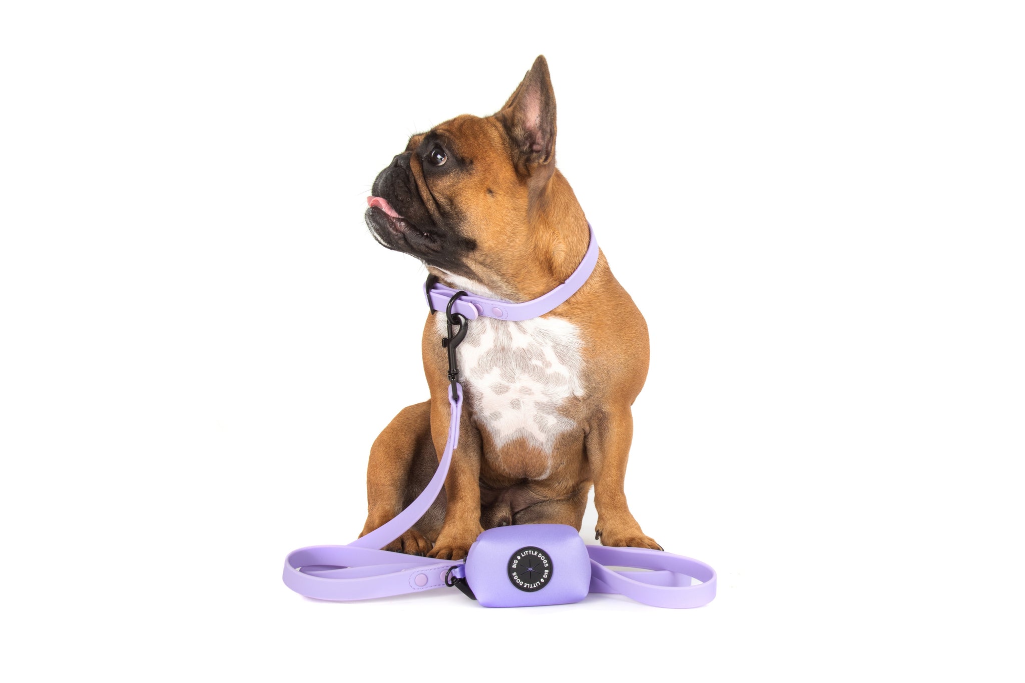 DOG POOP BAG HOLDER: Lavender Dreams {FINAL SALE}