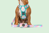 Dog Poop Bag Holder Rainbow Gingham