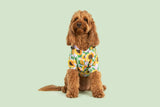 DOG RAINCOAT: Blooming Bright