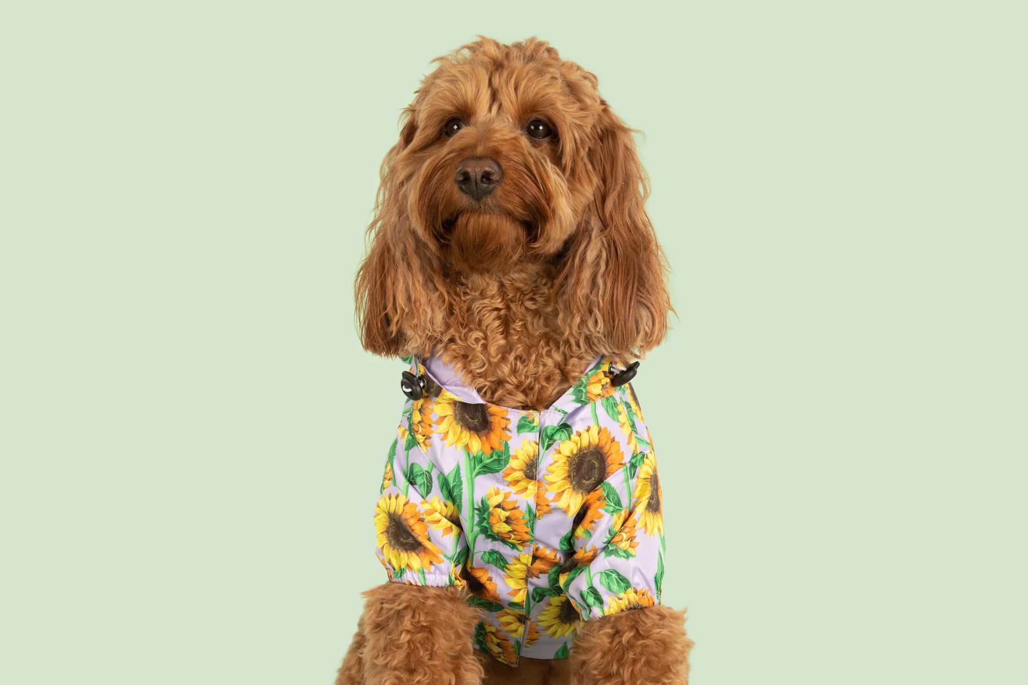 DOG RAINCOAT: Blooming Bright