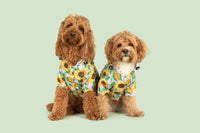 DOG RAINCOAT: Blooming Bright