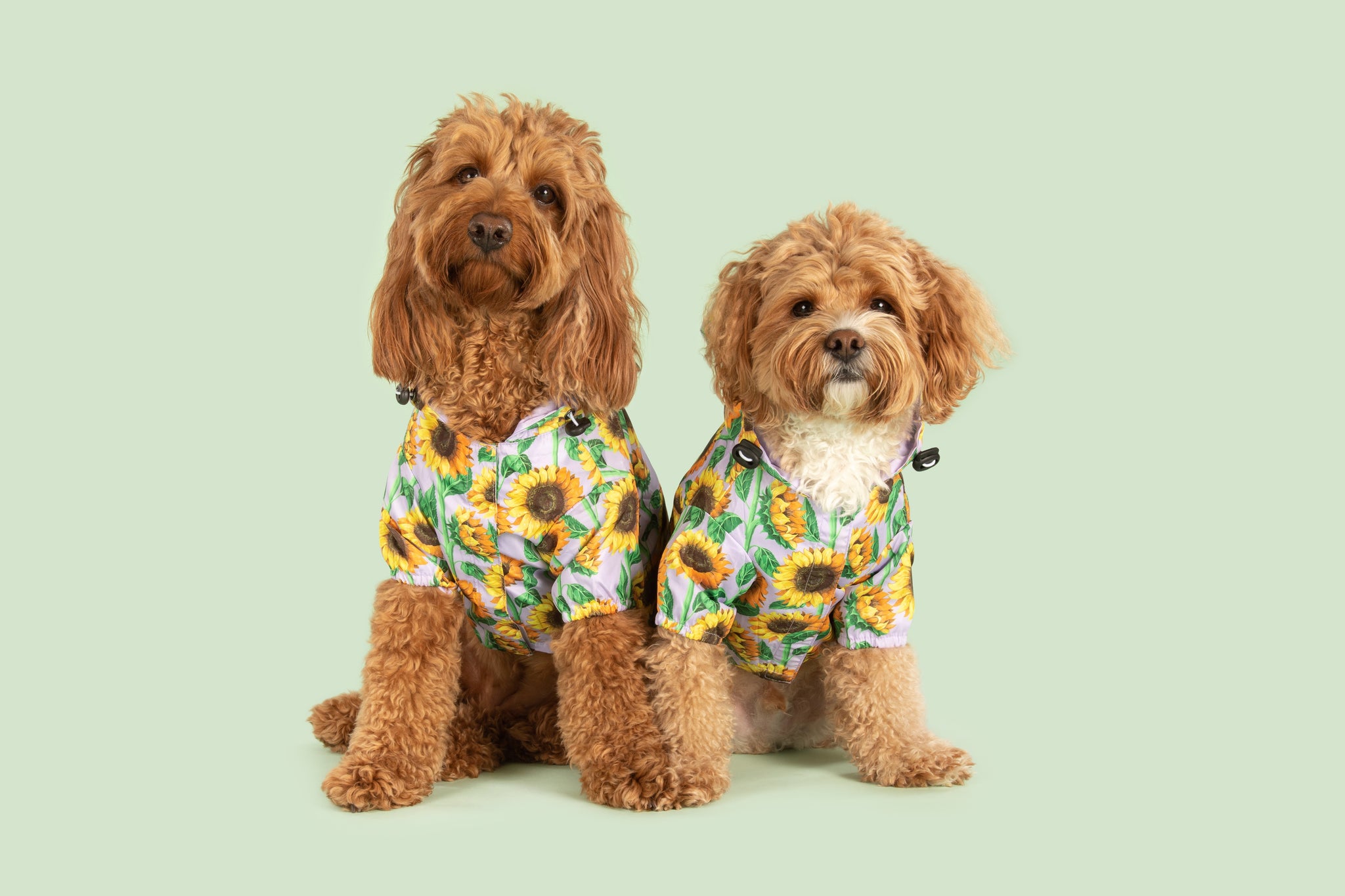 DOG RAINCOAT: Blooming Bright