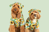 DOG RAINCOAT: Blooming Bright