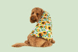 DOG RAINCOAT: Blooming Bright