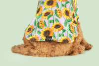 DOG RAINCOAT: Blooming Bright