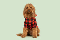 DOG RAINCOAT: Buffalo Plaid