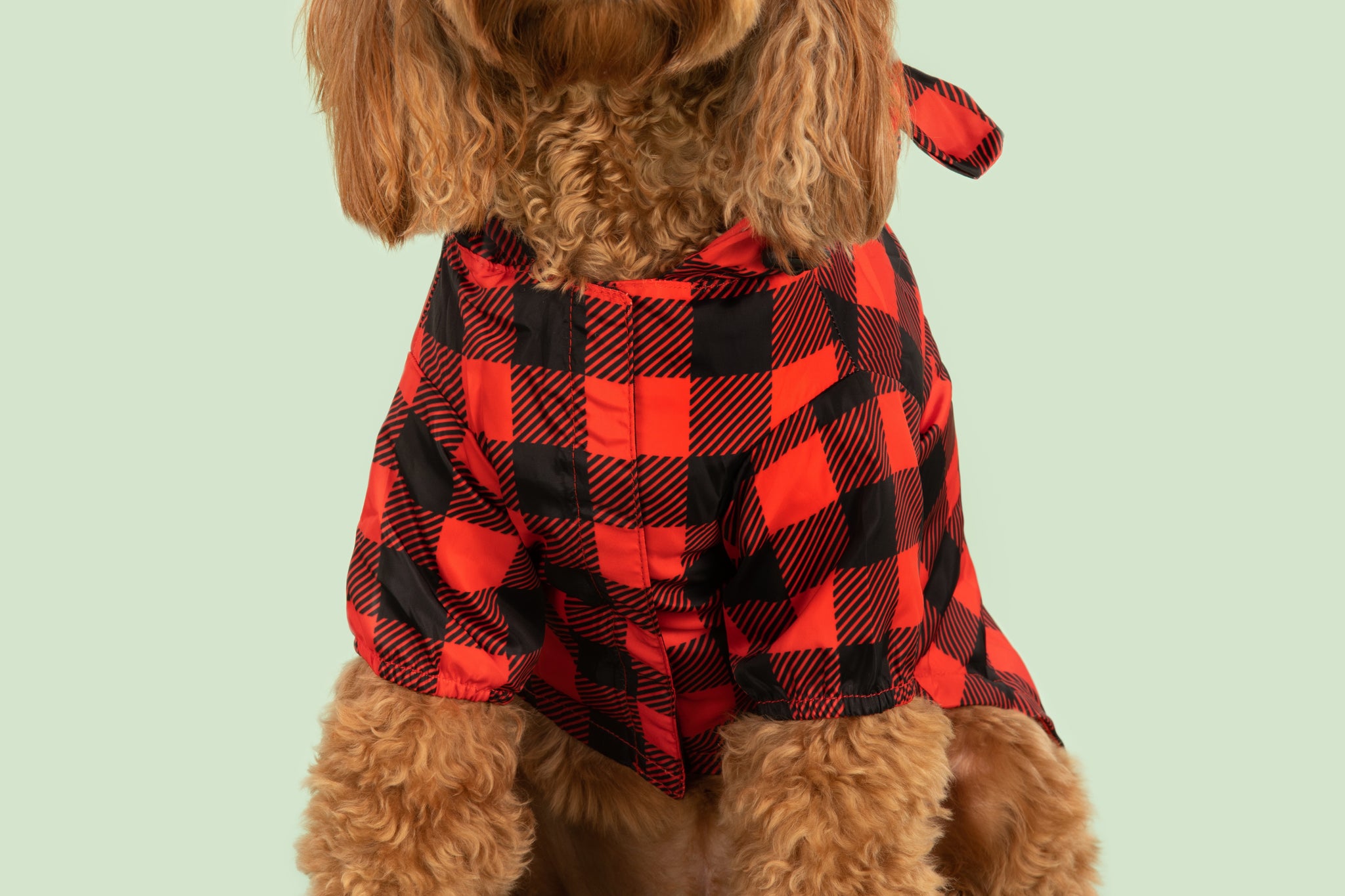 DOG RAINCOAT: Buffalo Plaid