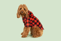 DOG RAINCOAT: Buffalo Plaid