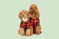 DOG RAINCOAT: Buffalo Plaid