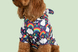 DOG RAINCOAT: Don't Rain on my Parade