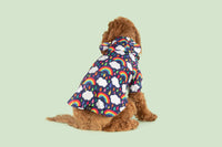 DOG RAINCOAT: Don't Rain on my Parade