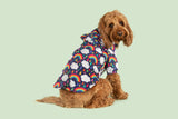 DOG RAINCOAT: Don't Rain on my Parade