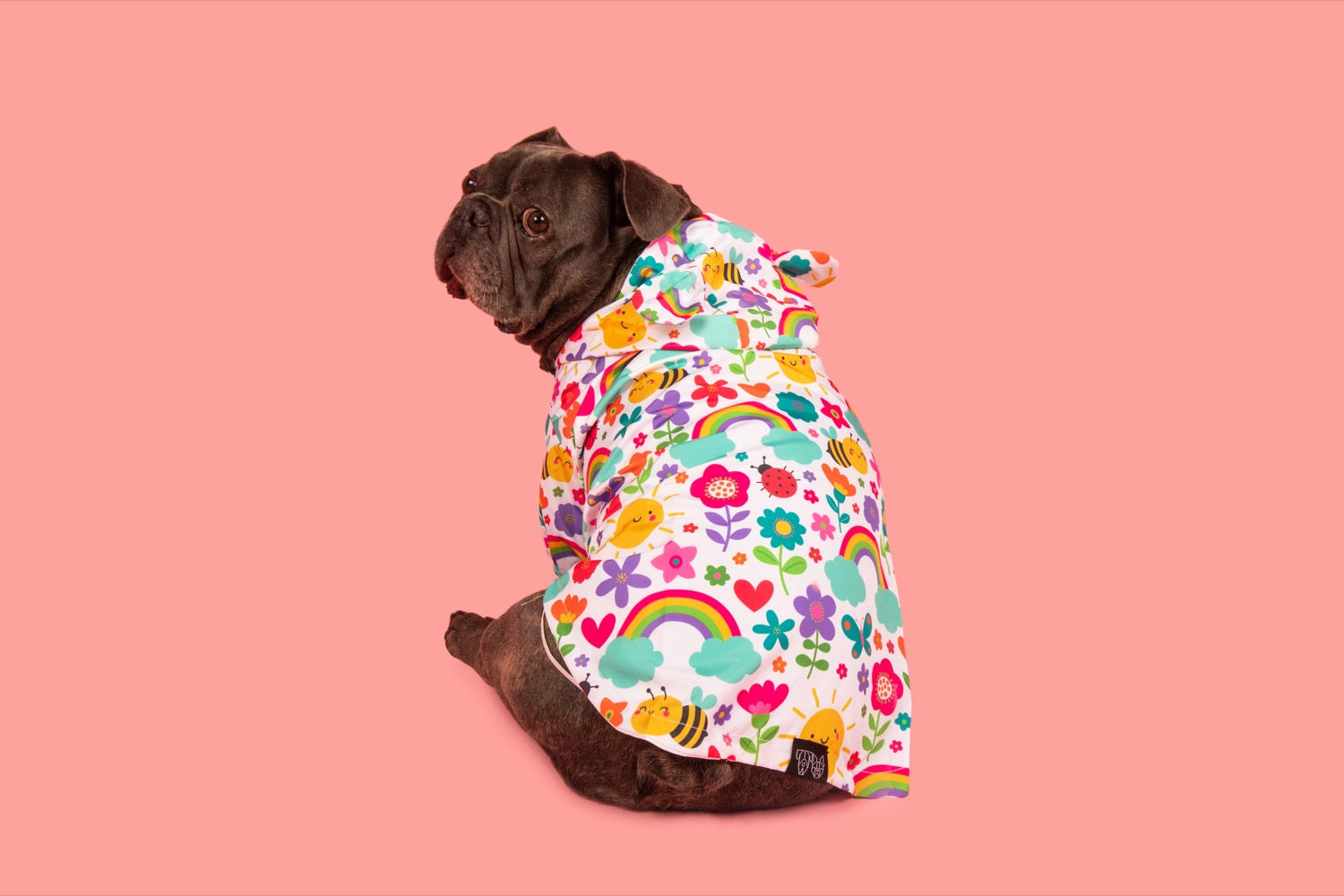 DOG RAINCOAT: Follow the Rainbow