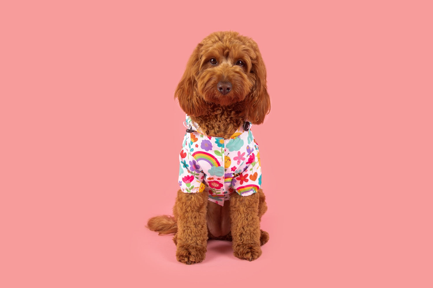 DOG RAINCOAT: Follow the Rainbow