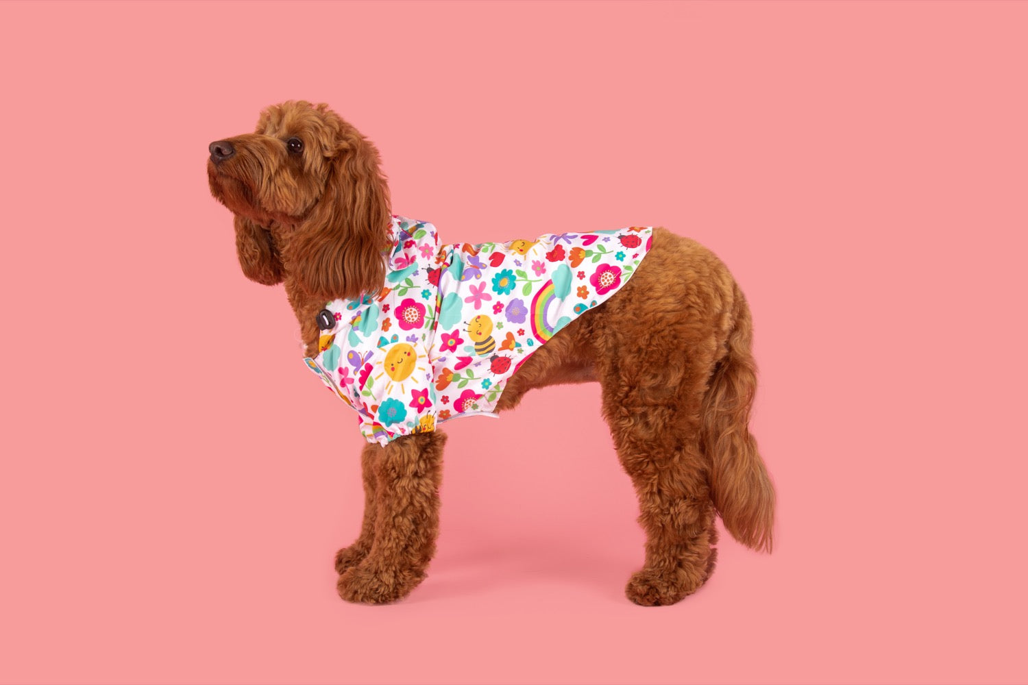 DOG RAINCOAT: Follow the Rainbow