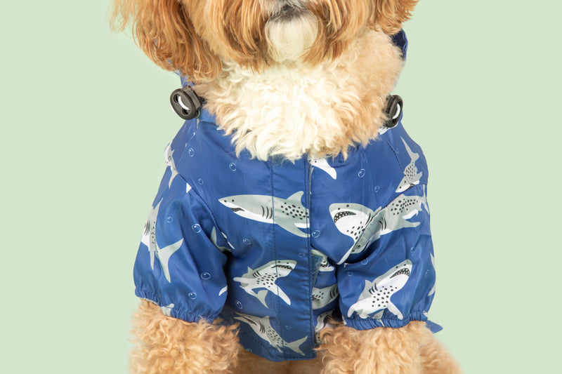 DOG RAINCOAT: Jaw Ready For This?