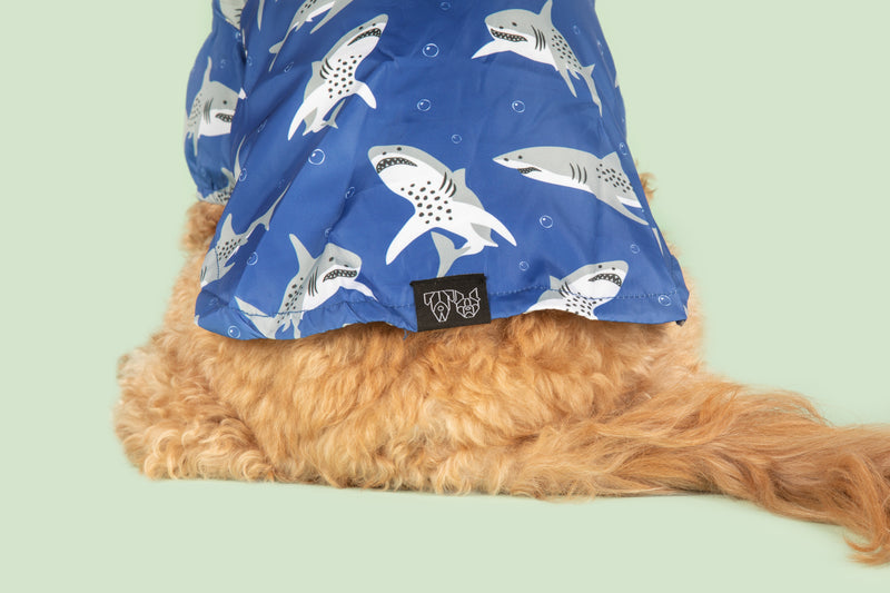 DOG RAINCOAT: Jaw Ready For This?