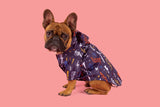 DOG RAINCOAT: Lightning Storm